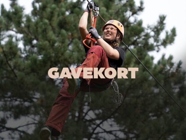 Gavekort