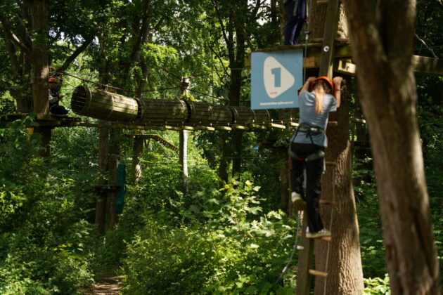 Skoler i GoMonkey Forest