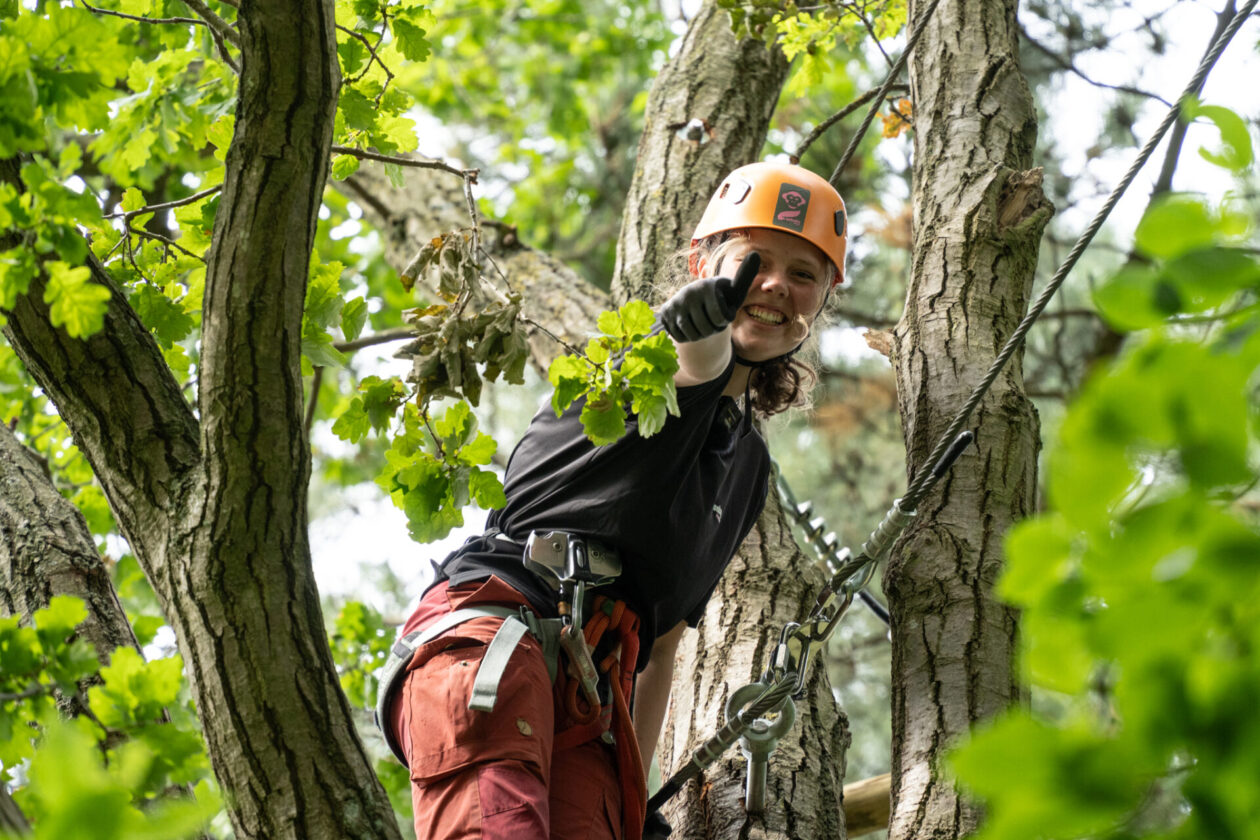 Climber wearing an orange helmet and safety gear gives a thumbs up while high in a tree among green leaves and ropes present in the scene.
